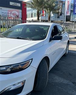 شيفروليه ماليبو